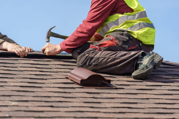 Best Roof Gutter Cleaning  in Blountsville, AL