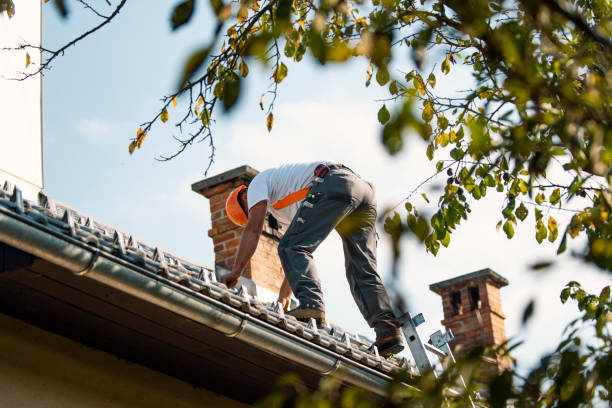 Best Commercial Roofing Services  in Blountsville, AL